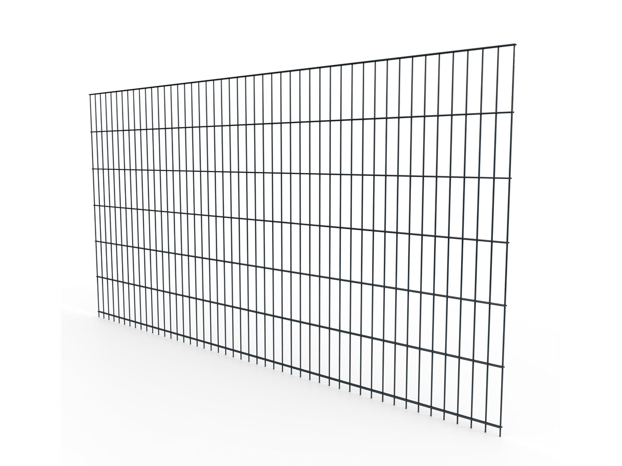 Doppelstabmattenzaun 6/5/6 | Breite 201 cm | Metall