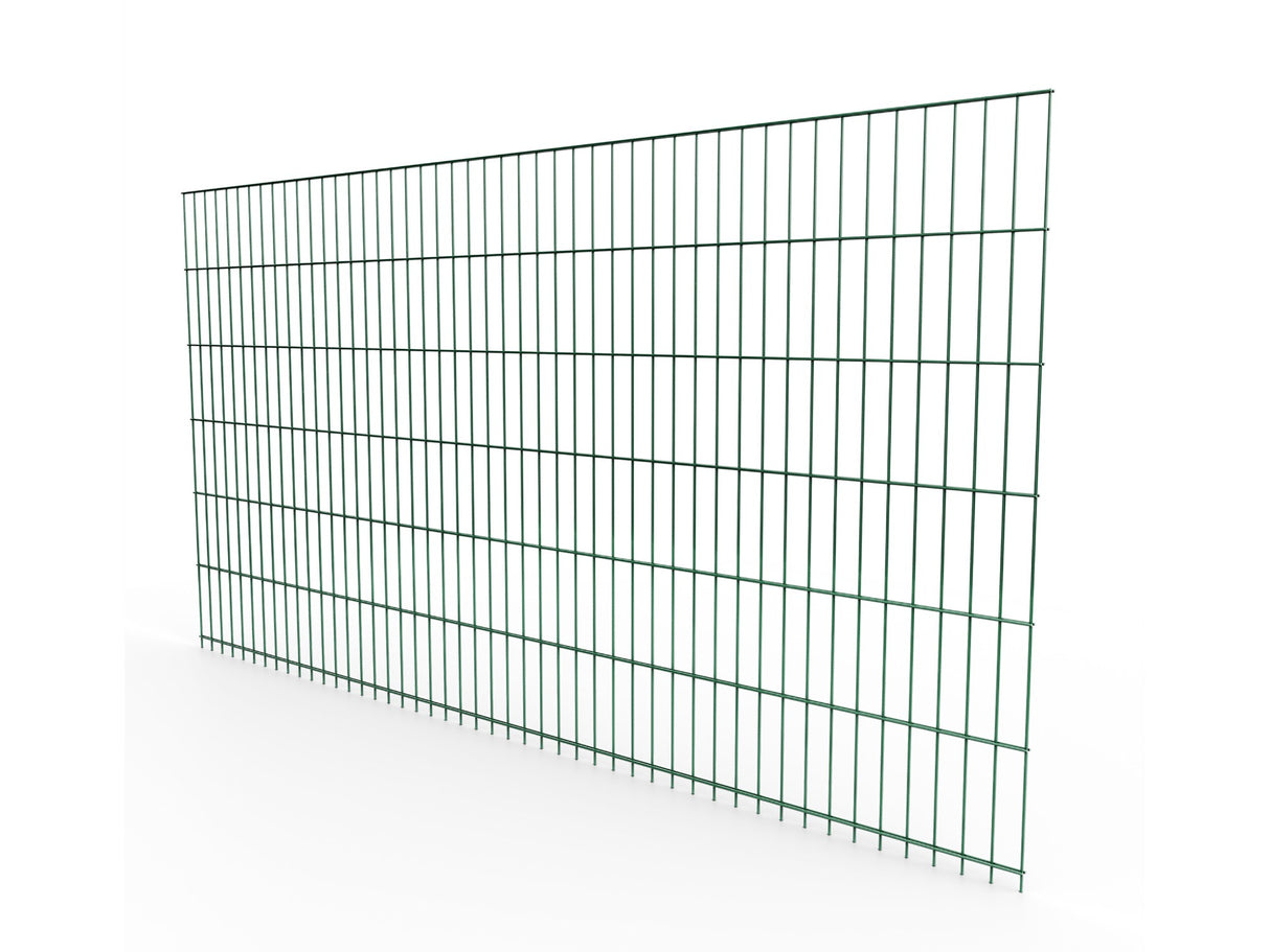 Doppelstabmattenzaun 6/5/6 | Breite 201 cm | Metall