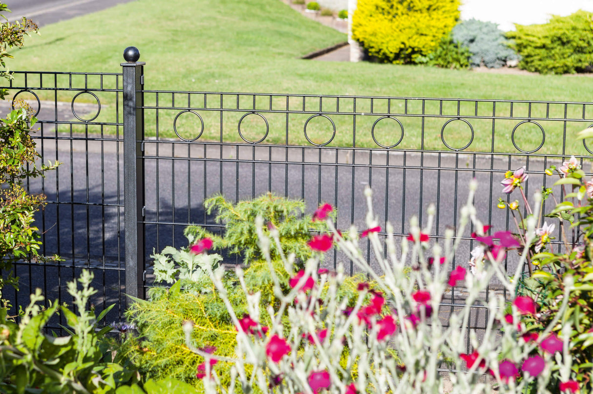 Schmuckzaun ROM 6/6/6 | Kreis-Ornamenten | Breite 251 cm