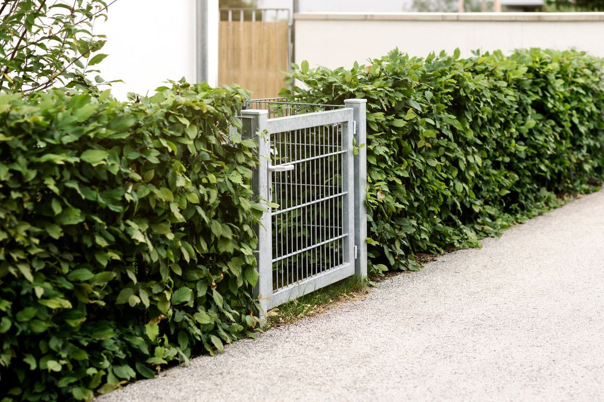 Feuerverzinktes Gartentor aus Metall für den Zugang zum Garten